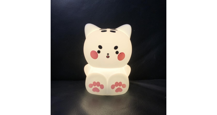 韓國Fromm Store - 韓星金在中演唱會週邊 貓咪夜燈