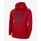 Nike NBA Pullover Bulls Hoodie