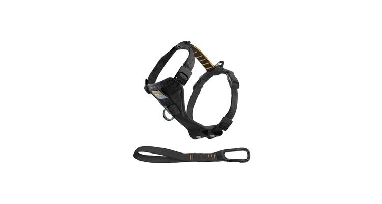 Best dog harness