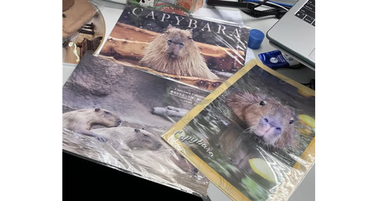 日本kobe-oukoku-raku-uru - 2026 水豚月曆，水豚A4文件夾