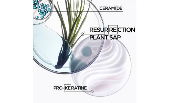 Kerastase Resistance Bain Force Architecte 結構強化髮乳 250mL