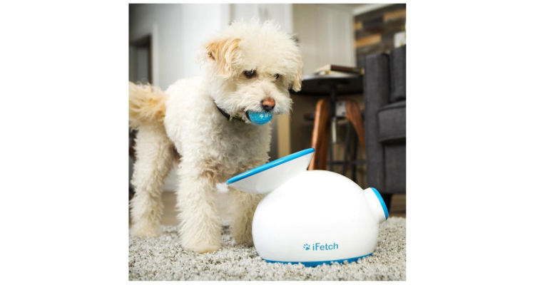 iFetch Ball Launcher