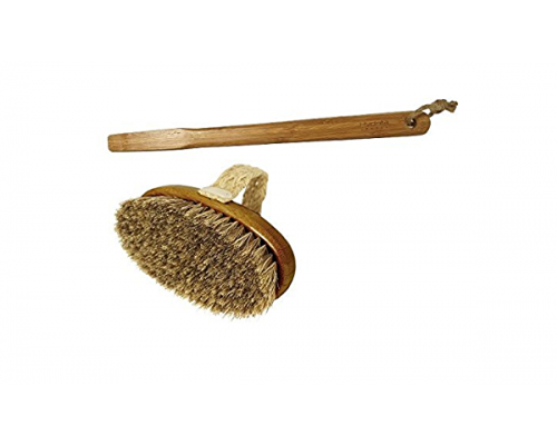 Hydrea London 竹纖維仙人掌鬃毛沐浴刷帶可拆卸長手柄